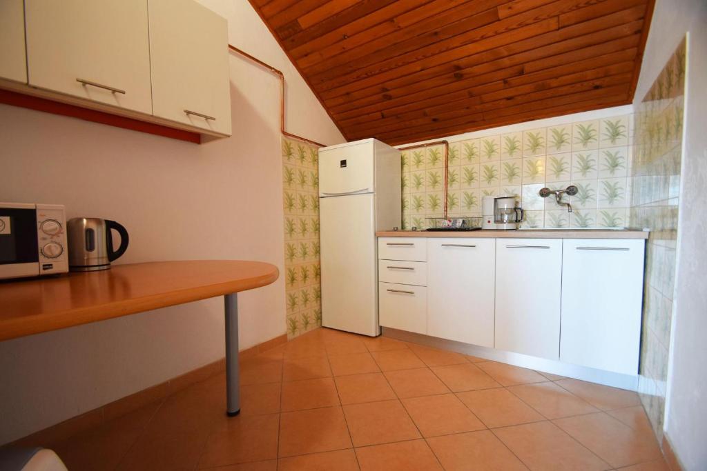 Kuchyňa alebo kuchynka v ubytovaní Apartments by the sea Starigrad, Paklenica - 6624
