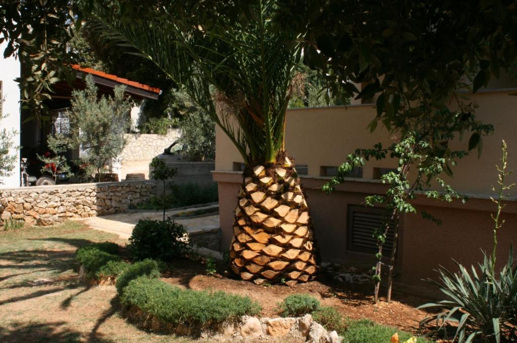 Zahrada ubytování Apartments by the sea Mandre, Pag - 6516