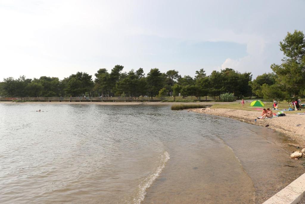 Zdjęcie z galerii obiektu Apartments by the sea Zaton, Zadar - 5923 w mieście Zaton