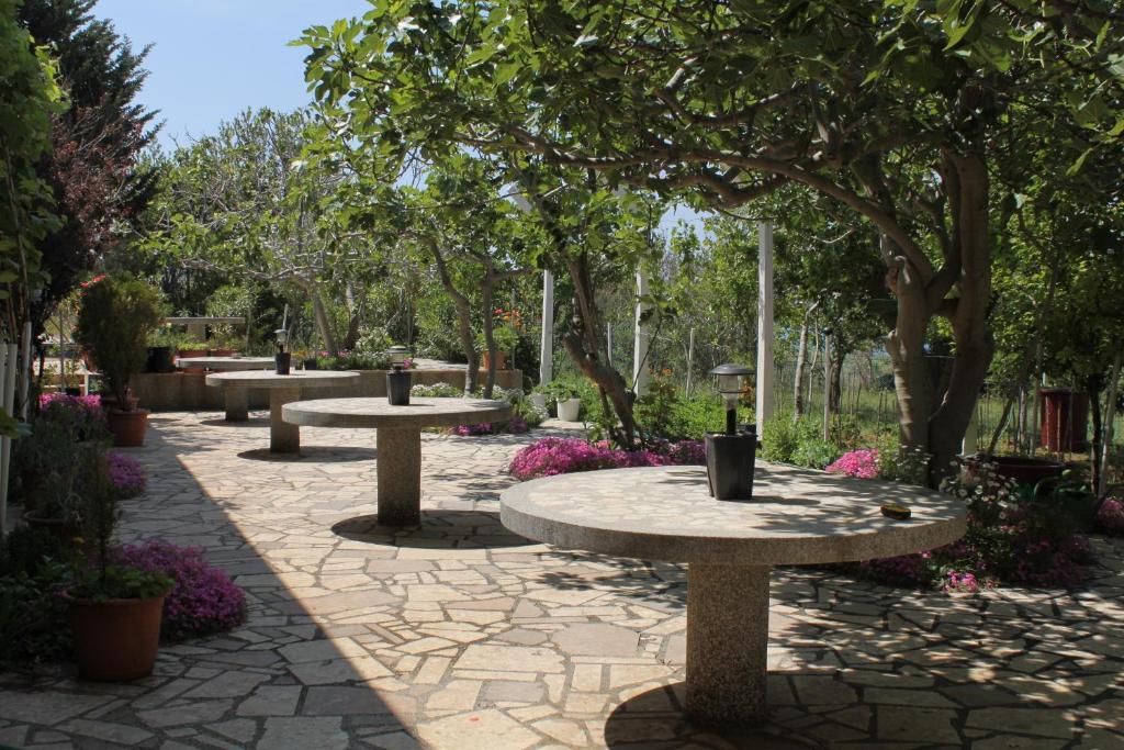 Zahrada ubytování Apartments and rooms by the sea Povljana, Pag - 6476