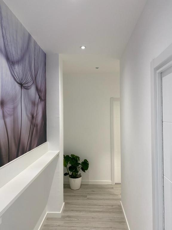 Camiño da Praia - 3