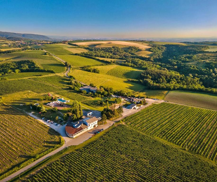 une vue aérienne sur une ferme dans un vignoble dans l'établissement Hilltop Borbirtok & Étterem, à Neszmély