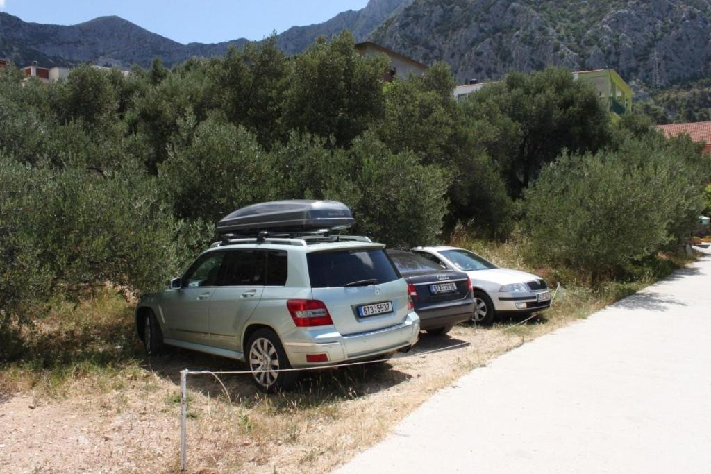 Fotografia z galérie ubytovania Apartments with a parking space Gradac, Makarska - 6881 v destinácii Gradac