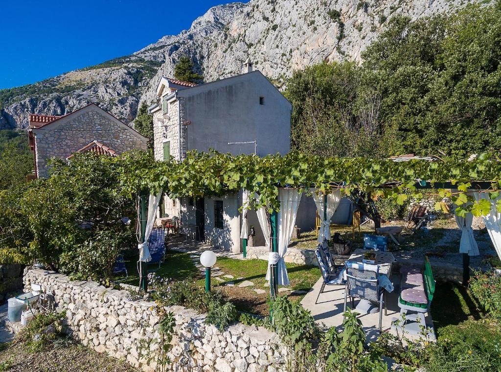 una casa con un montón de vides en un jardín en Family friendly house with a parking space Gornji Tucepi - Podpec, Makarska - 6915 en Tučepi