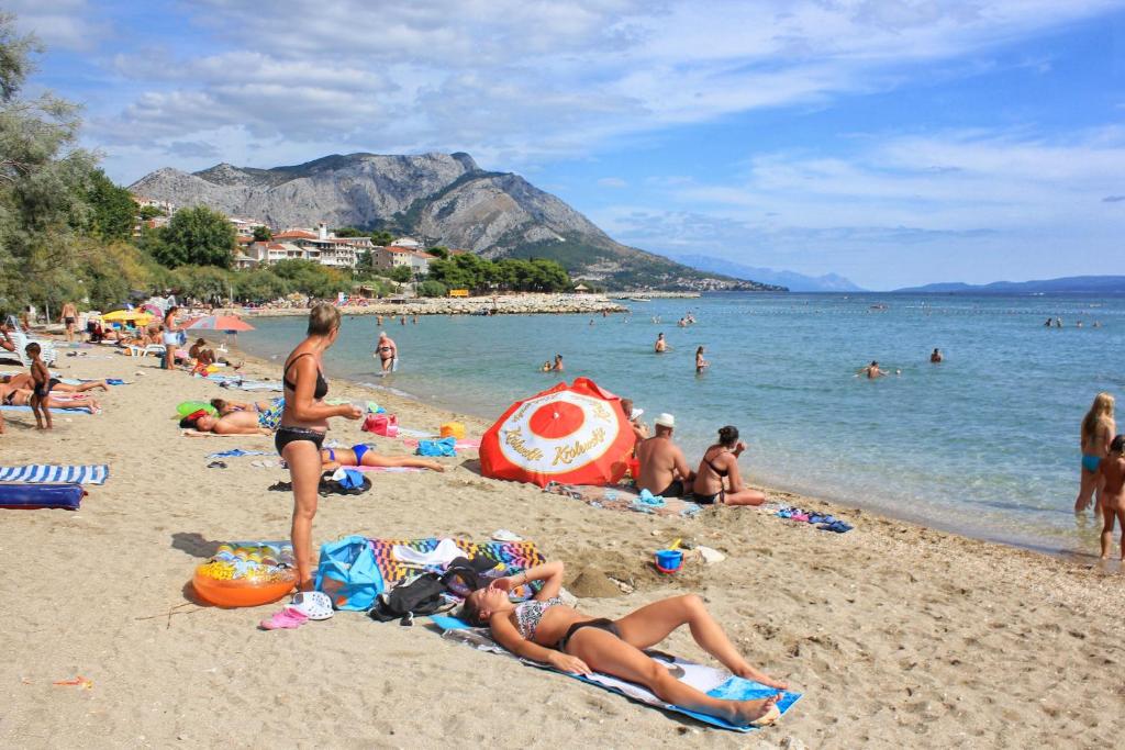 Príroda v okolí penziónu