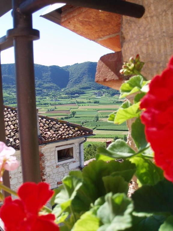 Nespecifikovaný výhled na hory nebo výhled na hory při pohledu z bed and breakfast