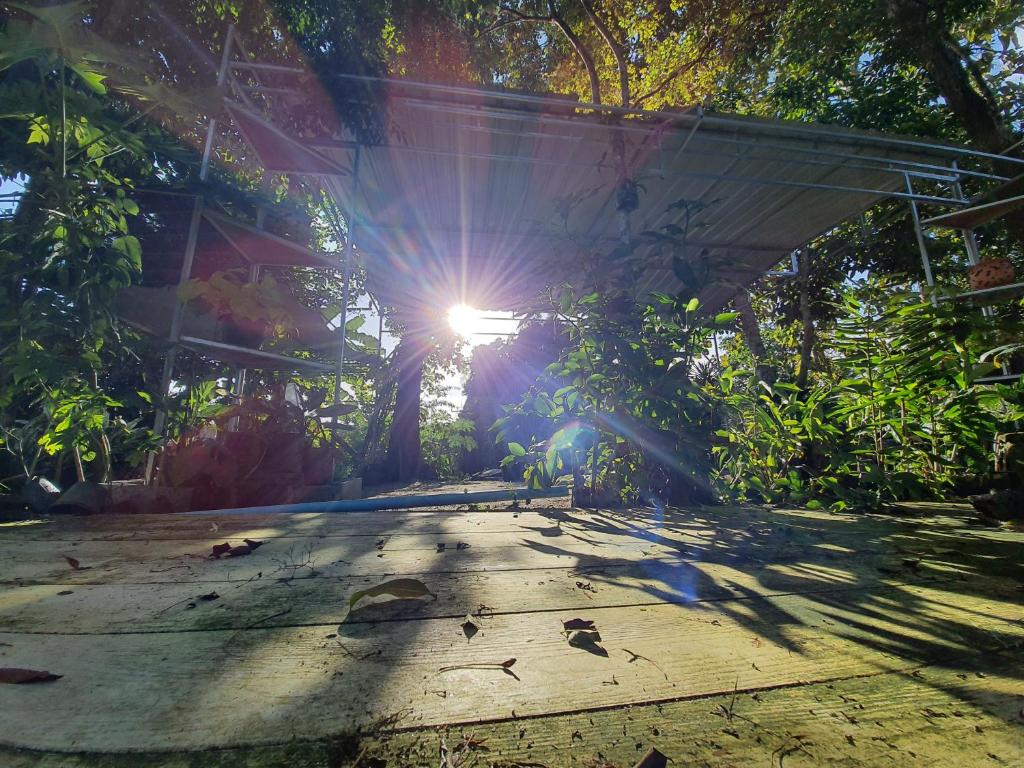 Zahrada ubytování Baan Thabthong Homestay (บ้านทับทอง โฮมสเตย์)