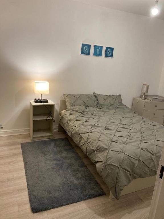 1 dormitorio con 1 cama con lámpara y alfombra en Stay cosy Apartment in Dublin City Centre, en Dublín