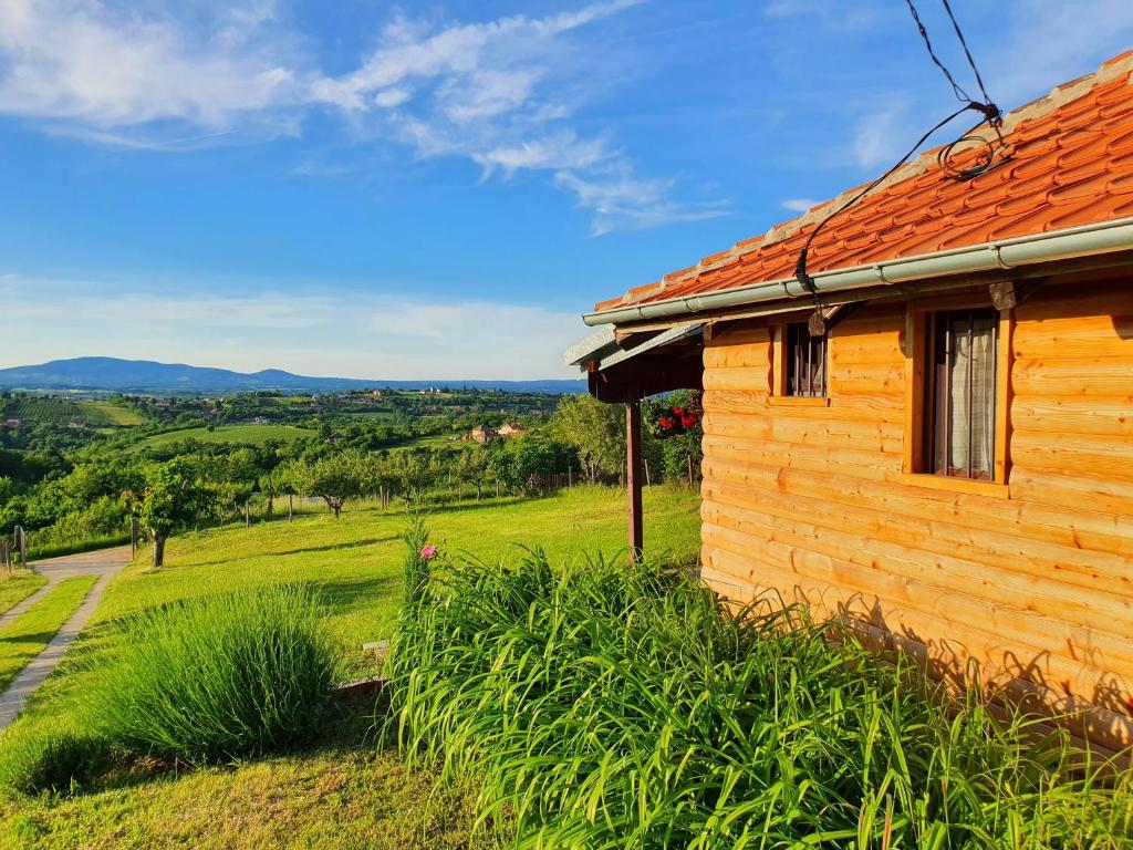 Casa de madera con techo naranja y campo en Vajat Orašac, en Arandjelovac