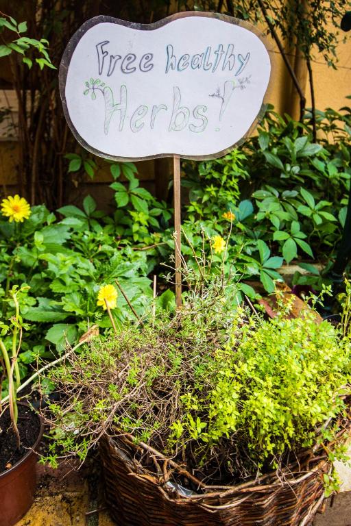 Zahrada ubytování Vienna Hostel Ruthensteiner