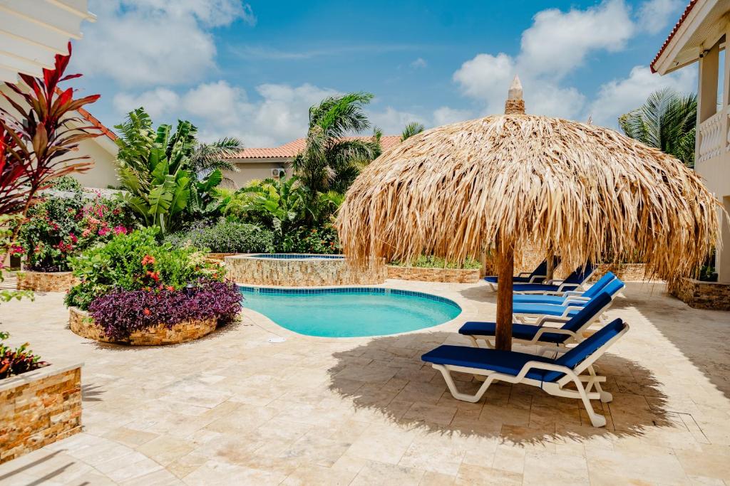 Amazing studio 2 km from Eagle beach - Estudio