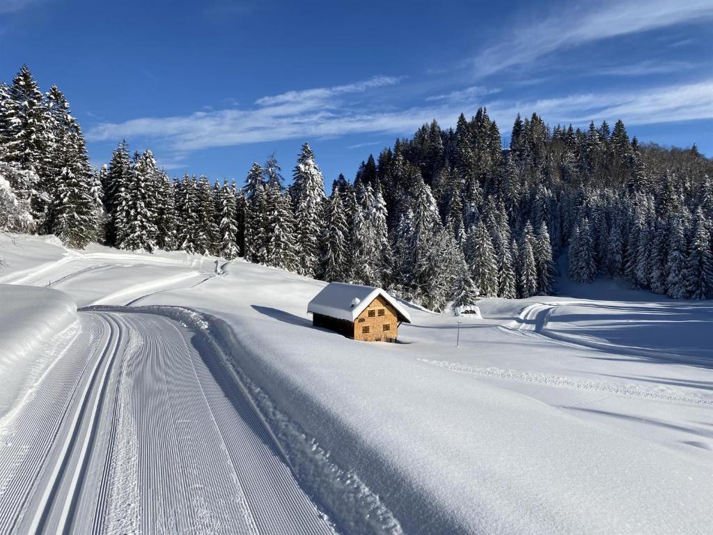 Chalet Tschengla talvel