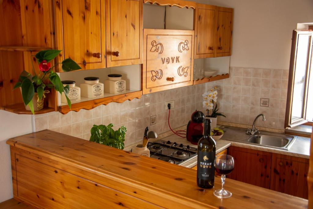 Kuchyň nebo kuchyňský kout v ubytování Apartma Na skdnu