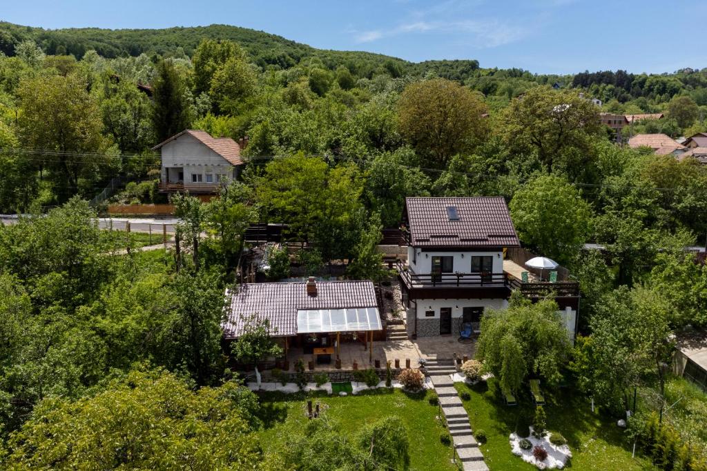 an aerial view of a house in the woods at Vila Rustic INN Bucegi in Pietroşiţa