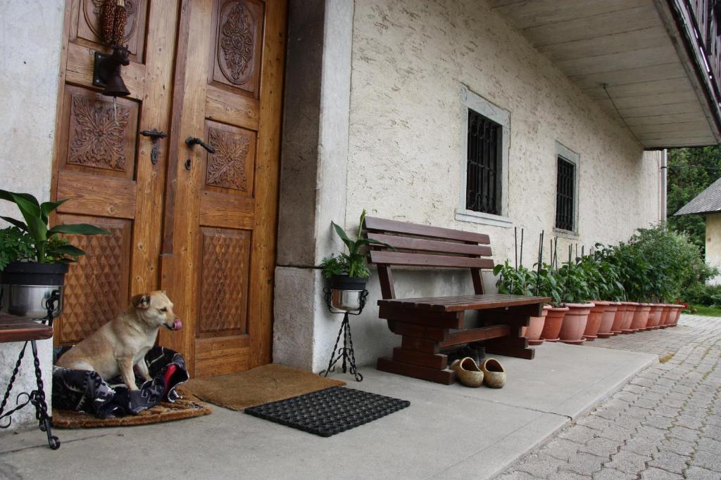 Zgornje Gorje的住宿－Family apartment on Repečnik farm in Gorje, Bled，狗坐在门前的垫子上