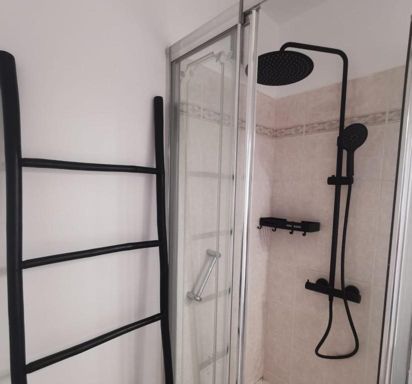 a shower with a glass door in a bathroom at Chambre Voyage tout confort pres de saint Marceau in Saint-Jean-le-Blanc