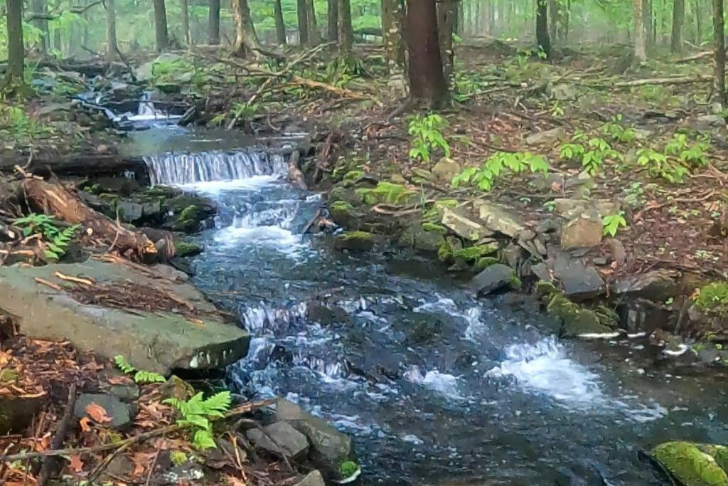 New! Streamside house w/waterfall, lake/beach/pool, Locust Lakes