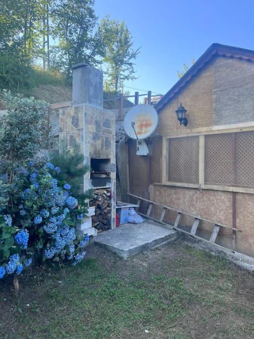 doğayla iç içe müstakil ev