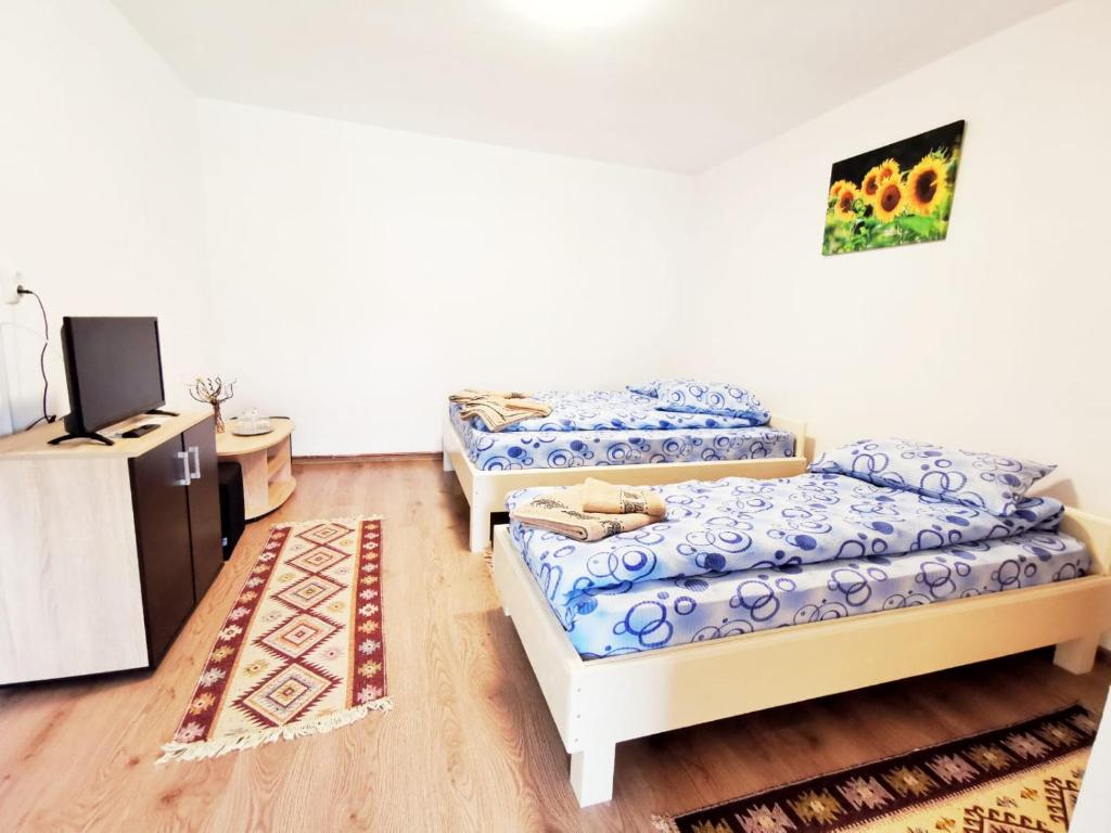 a room with two beds and a tv in it at Casa Borcean 2 in Sasca Montană