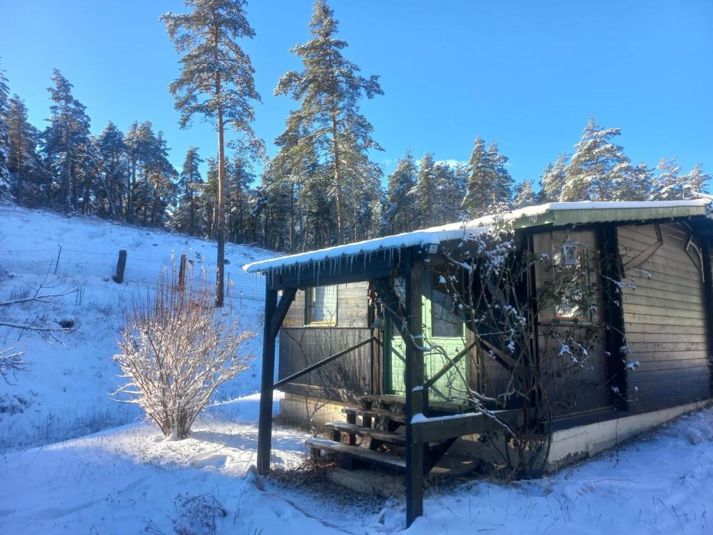 un pequeño cobertizo en la nieve con árboles en el fondo en Petit chalet pour amoureux de la nature au « Domaine de Tara » en Gréolières