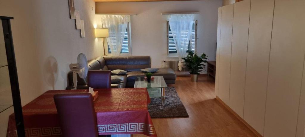 haslerstrasse 6 3008 bern
