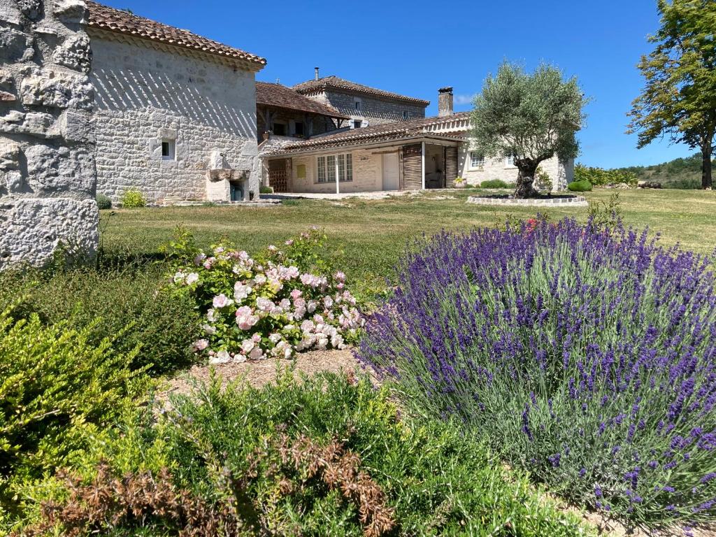 SauveterreにあるLe Gîte du Souffle des Angesの紫の花々が咲く石造りの家の前の庭