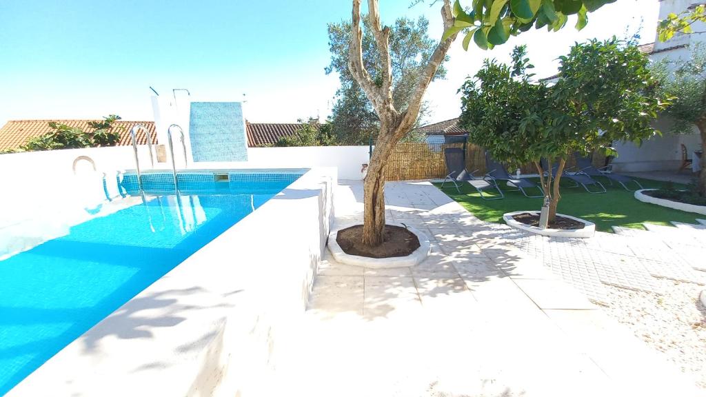 a swimming pool with a tree in a yard at Casa do Castelo in Arraiolos