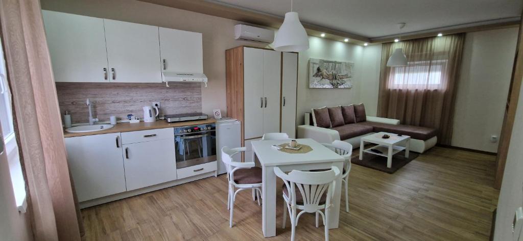 Kuhinja ili čajna kuhinja u objektu Apartmani i sobe Gromilovic