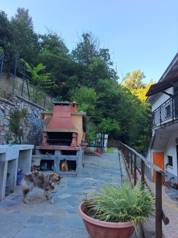The Giaggiolo's House - Housity