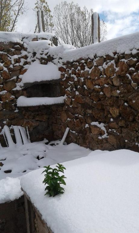 un mur en pierre avec une plante dans la neige dans l'établissement Villa Mlak dayat Aoua, à Ifrane