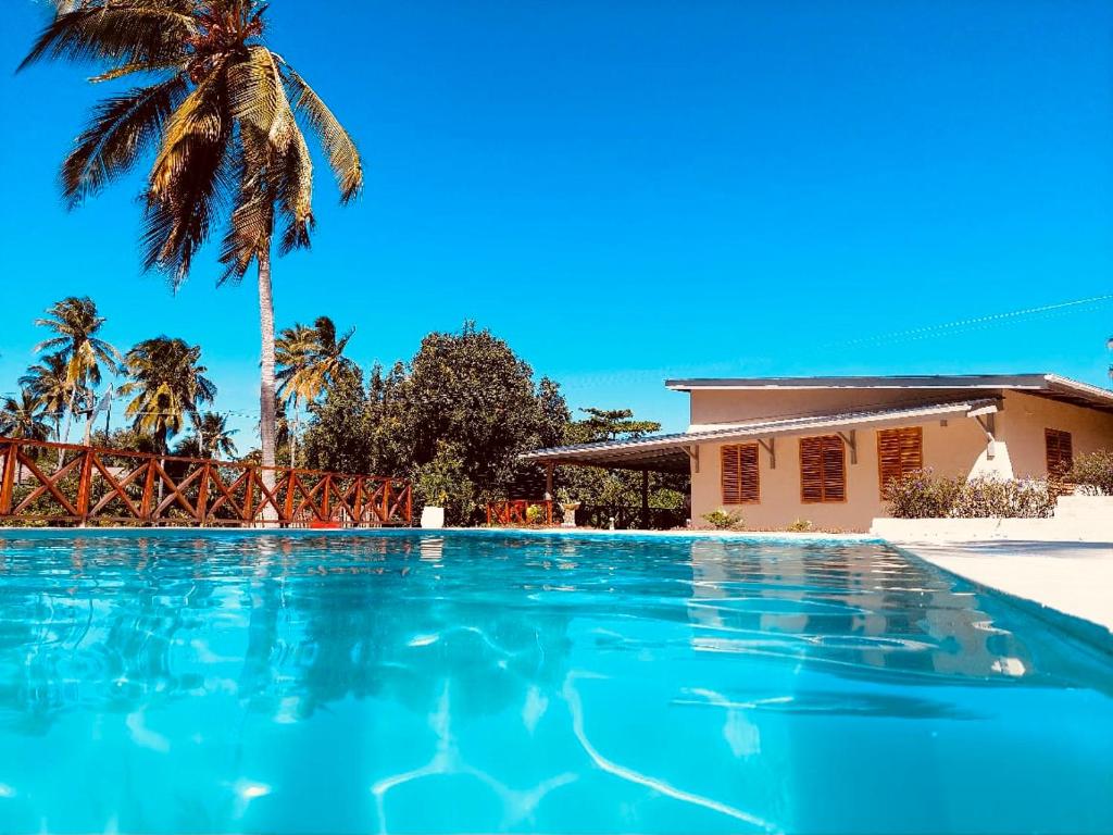 a swimming pool in front of a house with a palm tree at Dive Planet Mafia Island in Utende