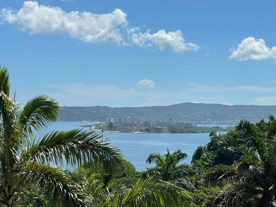 vista su un grande bacino idrico con palme di Spring Garden Mobay Resort Luxurious Apartments a Montego Bay