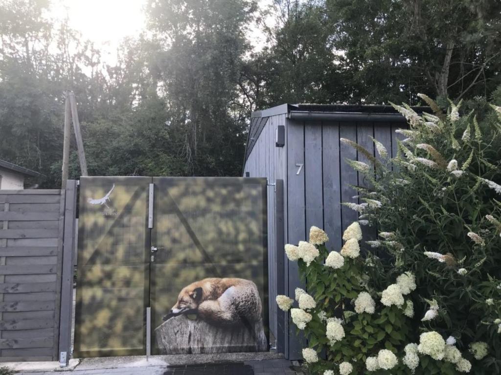 a dog is looking at its reflection in a mirror at Naturferienhaus Klein Rosenburg für 2 Personen in Klein Rosenburg