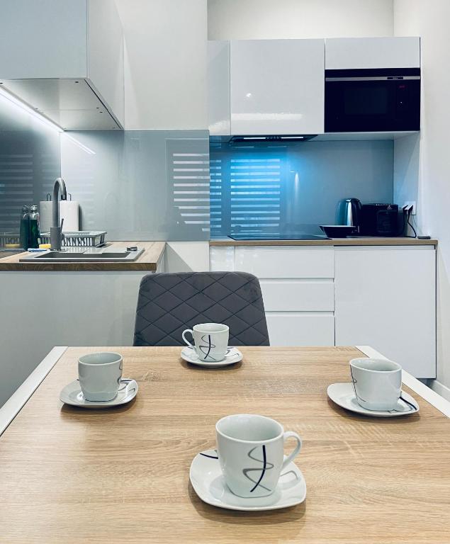 Kuchyňa alebo kuchynka v ubytovaní Modern Silver Apartment