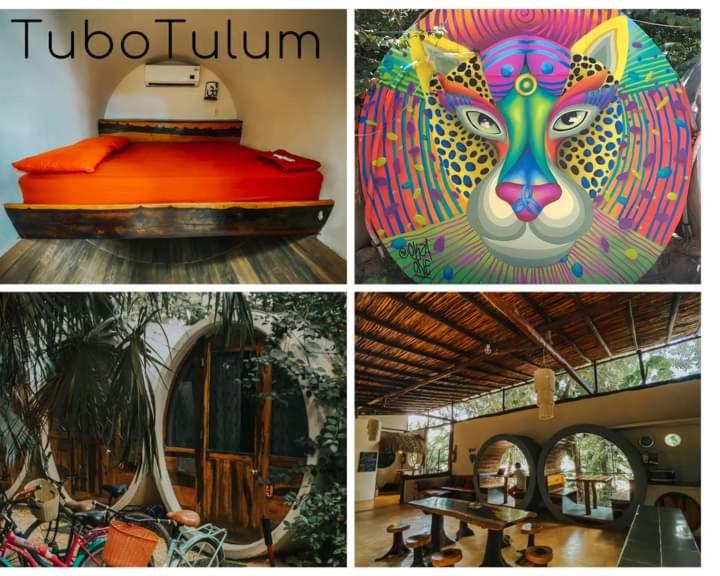 un collage di quattro foto di una camera con una tigre e un letto di Tubo Tulum Hostel a Tulum