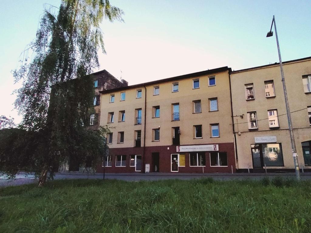 Gryfny Grubiorz - 12