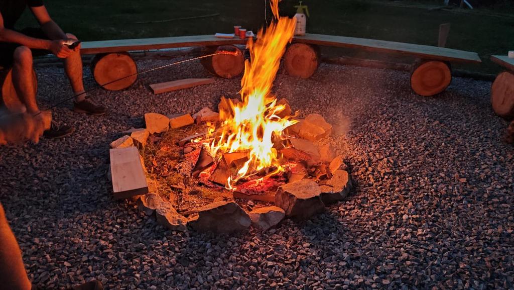 Fotografie z fotogalerie ubytování Glamping Wild Nature Bałtów v destinaci Bałtów