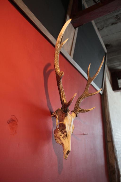 Fotografie z fotogalerie ubytování Kamp Houkan-cho Backpacker's Inn & Lounge v destinaci Okajama