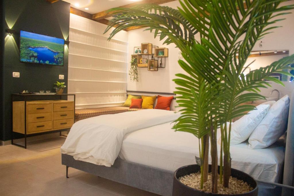 Tsymr shqd - Housity