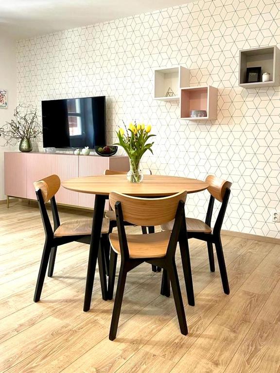 TV a/nebo společenská místnost v ubytování Apartmán Hubertus No. 17