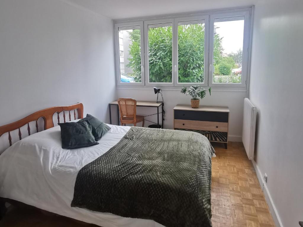 a bedroom with a bed and two windows at Chambre Nature - Tout confort près de Saint Marceau in Saint-Jean-le-Blanc