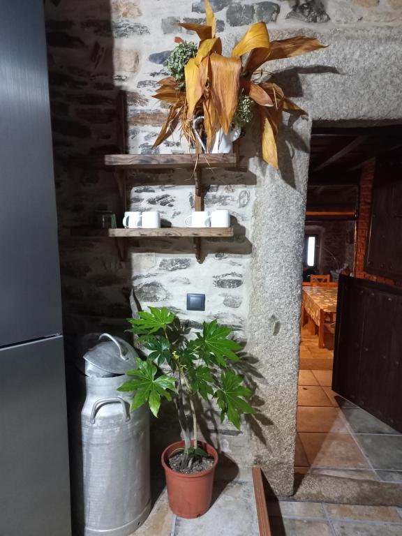 Fotografie z fotogalerie ubytování Casa Rural La Moraquintana v destinaci Santibáñez el Bajo