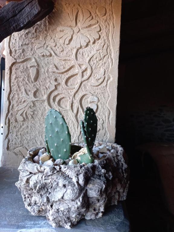 Fotografie z fotogalerie ubytování Casa Rural La Moraquintana v destinaci Santibáñez el Bajo
