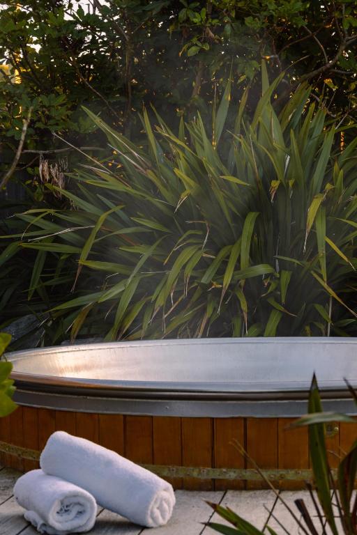 Alpine-Pacific Holiday Park - Resim 9