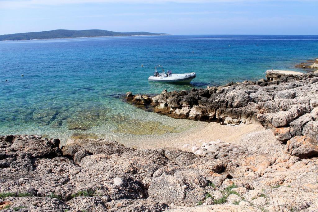 Fotografie z fotogalerie ubytování Apartments by the sea Zavala, Hvar - 8745 v destinaci Jelsa