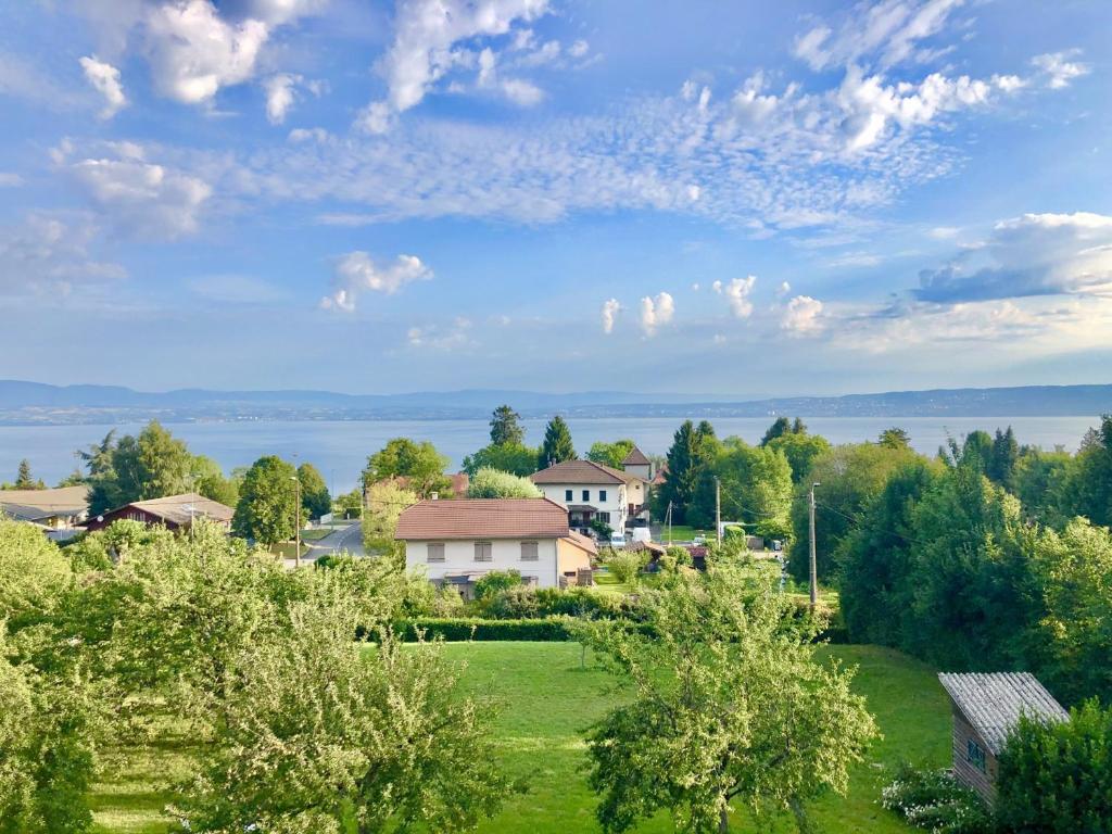 a house on a hill with a green field at Maison Évian-les-Bains, 6 pièces, 7 personnes - FR-1-498-79 in Évian-les-Bains