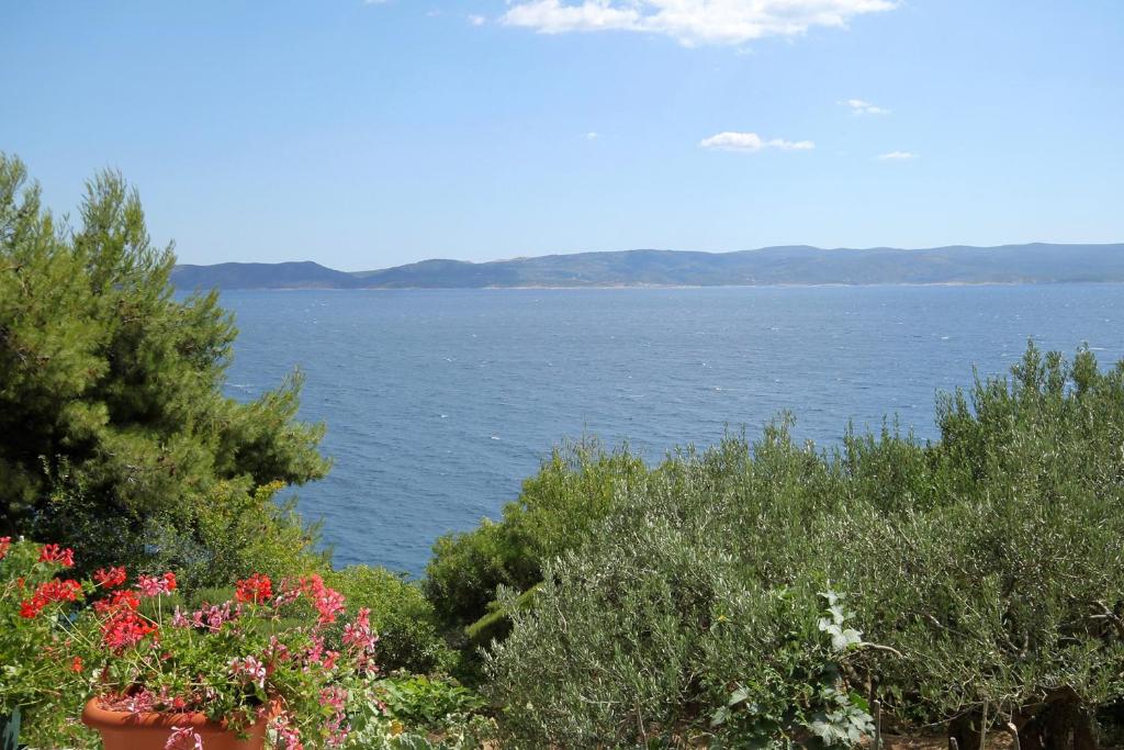 Fotografie z fotogalerie ubytování Apartments by the sea Pisak, Omis - 6897 v destinaci Mimice
