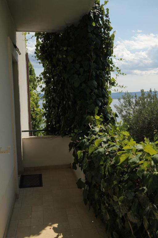 Fotografie z fotogalerie ubytování Apartments by the sea Pisak, Omis - 6897 v destinaci Mimice