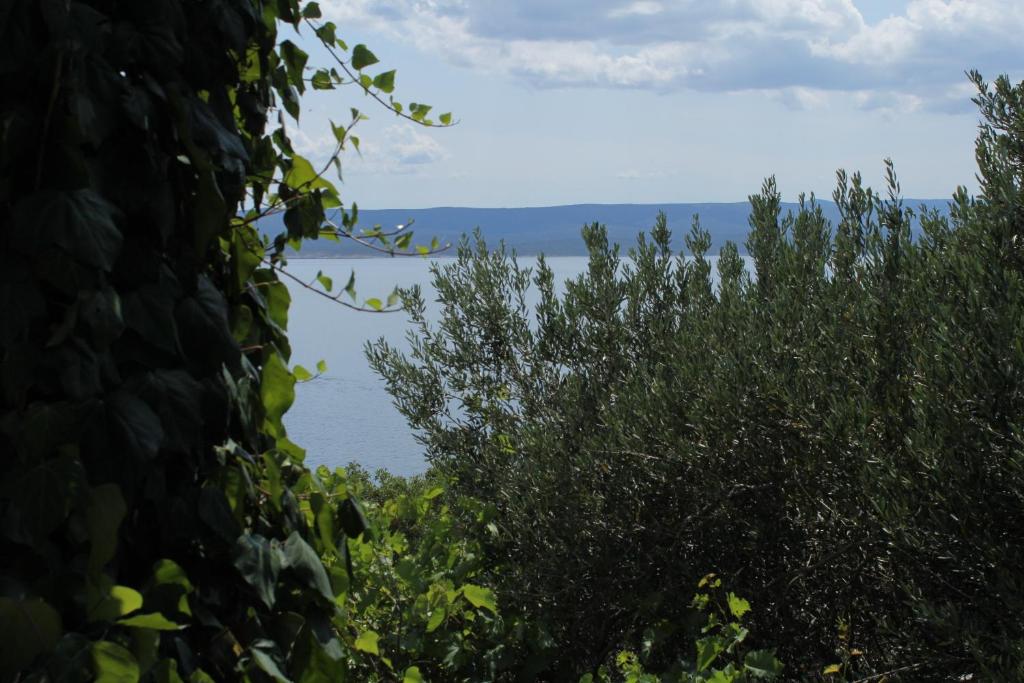 Fotografie z fotogalerie ubytování Apartments by the sea Pisak, Omis - 6897 v destinaci Mimice