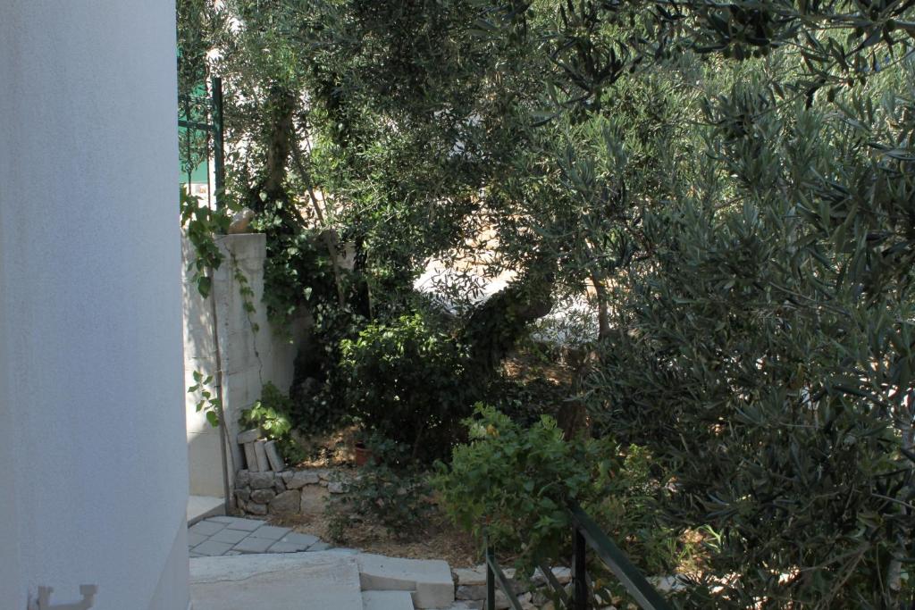 Fotografie z fotogalerie ubytování Apartments by the sea Pisak, Omis - 6897 v destinaci Mimice